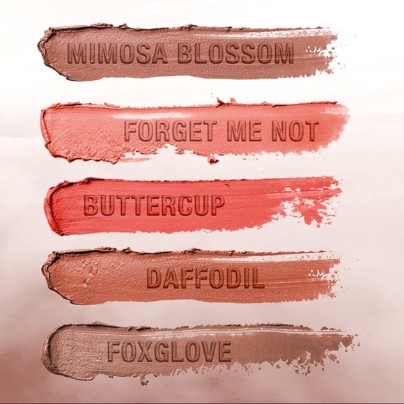 💝 VELVET MOUSSE LIP COLOR 💝 - Picture 3 of 5